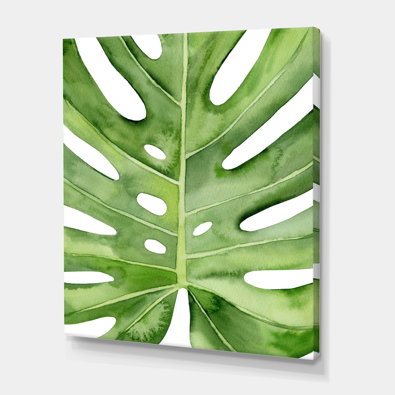Designart - Green Monstera Leaf Tropical Palm Botanical Detail - Tropical Canvas Wall Art Print